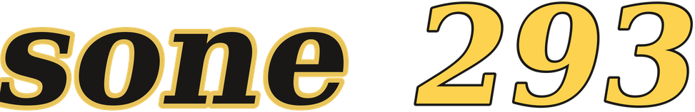 sone 293 logo